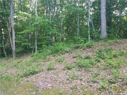 00 Brandywine Road 231