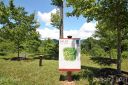33 Grovepoint Way Lot 12 sold home in Asheville, SC