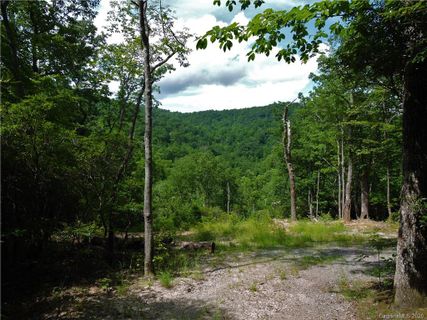 1443 Old Mill Road sold home in Nubbins Nob, Hendersonville, NC