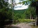 1443 Old Mill Road sold home in Hendersonville, SC
