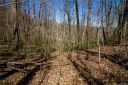 10 La Grange Drive 29 sold home in Asheville, SC