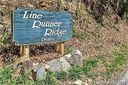 Lt 3 Line Runner Ridge Road sold home in Rosman, SC