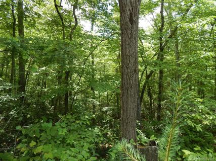 00 Apple Tree Court
