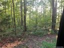 0 Bayberry Drive sold home in Rutherfordton, SC