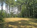 000 Fox Briar Drive 4 sold home in Columbus, SC