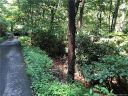 99999 Summer Haven Road sold home in Swannanoa, SC