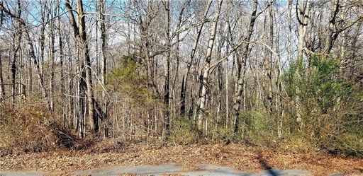 0 Tanglewood Drive 7