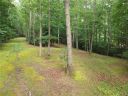 Tba Celo Cove Drive 48,49 sold home in Burnsville, SC