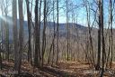 1305 Double Knob Drive Lot 95 sold home in Arden, SC