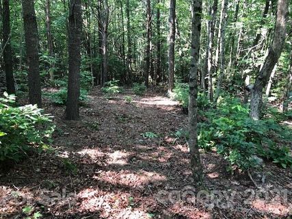 Lot 41 Poplar Bluff Drive