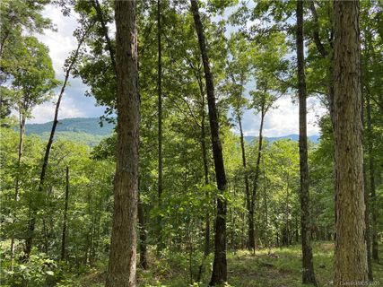 3670 French Broad Parkway 49