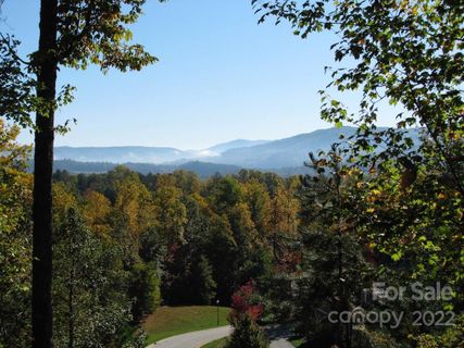 Tbd Pine Mountain Trail active home in Straus Park, Brevard, NC