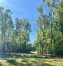 2902 Holbrook Road 13 sold home in Fort Mill, SC