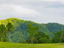 Lot 18 Turkey Ridge Road sold home in Fletcher, SC