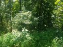 00 Spring Valley Drive 45 sold home in Waynesville, SC