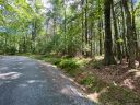 Tbd Sassafras Road 6A sold home in Cedar Mountain, SC