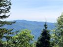 4406 Greenspire Drive sold home in Sylva, SC