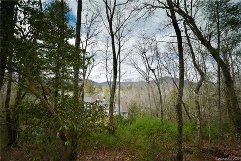 48 Dividing Ridge Trail Lot 7