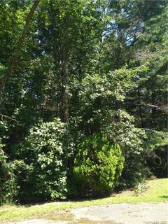 3610 Bridle Path Drive 9/B sold home in CRABTREE MEADOWS, Vale, NC
