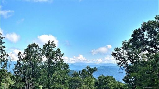 305 Red Wolfe Drive sold home in Hawks Ridge, Whittier, NC