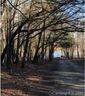 113 Saylors Watch Lane 4 sold home in Mooresville, SC
