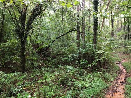Lot 64 Green River Cove Road sold home in White Water Mountain, Saluda, NC