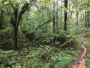 Lot 64 Green River Cove Road sold home in Saluda, SC