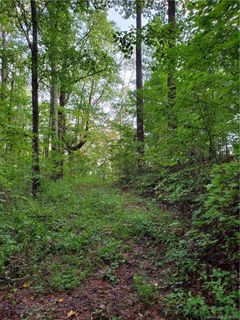 000 Bear Creek Lane sold home in Bear Creek, Saluda, NC