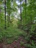 000 Bear Creek Lane sold home in Saluda, SC