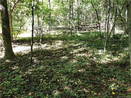 1 60 Ac Of Lot 79 Haven Drive LOT B sold home in Lake Sheila, Saluda, NC