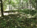 1 60 Ac Of Lot 79 Haven Drive LOT B sold home in Saluda, SC