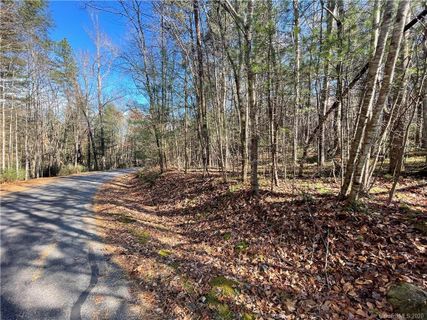 426 Ashley Bend Trail 45