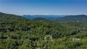 110 Bartrams Walk Drive 13 sold home in Asheville, SC