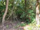 Lot 12 Long Ridge Lane sold home in Rosman, SC