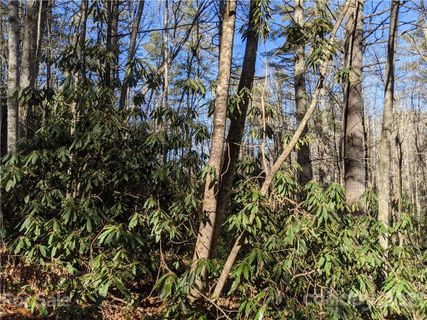 0 Willow Lake Drive 21 sold home in Willow Lake, Hendersonville, NC