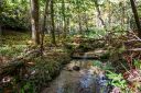 Tdb Fern Cove Lane 27 sold home in Pisgah Forest, SC