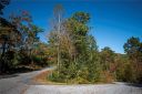 Tdb Fern Cove Lane 44 sold home in Pisgah Forest, SC
