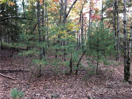 J111 Mulberry Circle sold home in Sequoyah Woods, Brevard, NC