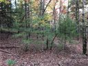 J111 Mulberry Circle sold home in Brevard, SC