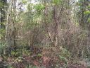 Lot 110 Archie Lane sold home in Monroe, SC
