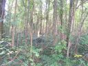 Lot 109 Archie Lane sold home in Monroe, SC