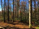 Lot W1 Curtain Bluff None sold home in Hendersonville, SC