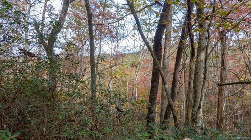 Lot 110 Ladd Ridge tbd