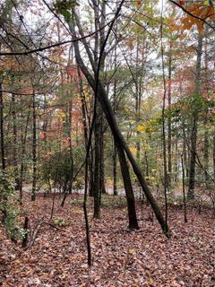 5a Dogwood Circle