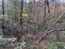Lot 5 Oriole Road sold home in Brevard, SC
