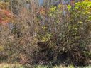 0 Chapel Hill Lane sold home in Leicester, SC