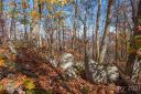 Tract 8 9 Sigogglin Trail sold home in Waynesville, SC