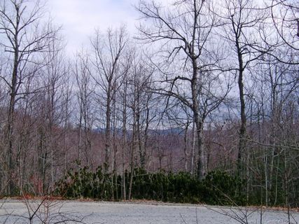 Tbd Eastatoe Gap Road 29