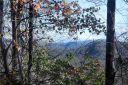 Lot 7 Long Ridge Lane sold home in Rosman, SC
