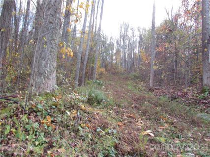 E 3 Red Wolf Run None active home in Red Wolf Run, Mars Hill, NC
